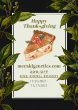 thanksgivingflyer.png