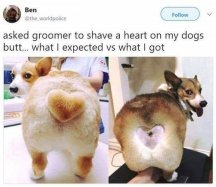 Dodo Groomer Lulz.jpg