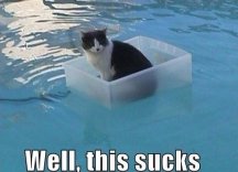 Cat Boat 5000.jpg