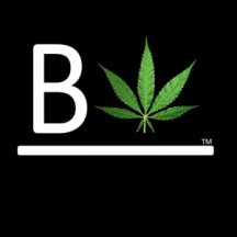 Beleaflogo.jpg