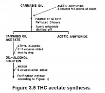 cannabis-alchemy-35.jpg