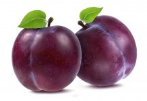 __opt__aboutcom__coeus__resources__content_migration__mnn__images__2018__06__plums-65c0c343f70...jpg