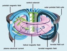 gpawg-tokamaks-1.jpg