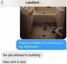 nyc-landlord-family-rats-bathroom-bo-pets-rent-due.jpg