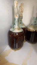 Airlock Messy.gif