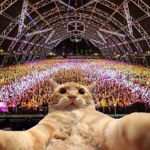 DJ MeowMeow.jpg