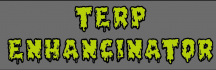 terp logo.png