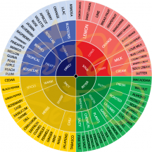 FlavourPie_strain_english_2012.png