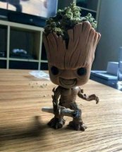 groot.jpg