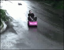 giphy (77).gif