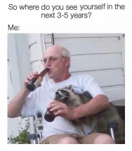 retired-raccoon.png