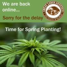 Spring Planting 2.jpg