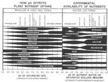 Chart 3.jpg