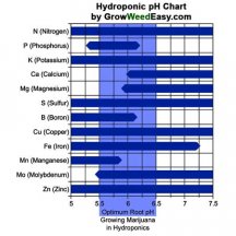 Chart 4.jpg