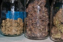 jars_3.2-4.jpg