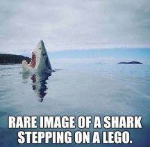 Shark Lego.jpg