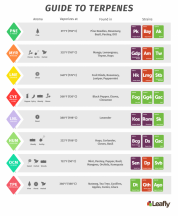 Terpene-Chart-copy-2.png