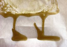 haze rosin[1].jpg