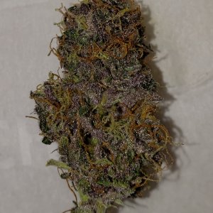 Raspberry moonshine (purple pheno)